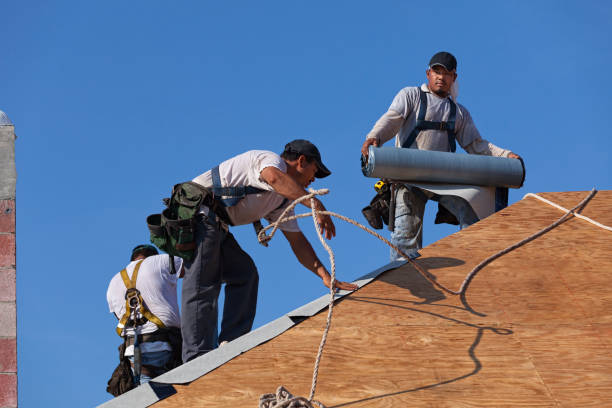 Roof Gutter Cleaning in Leechburg, PA